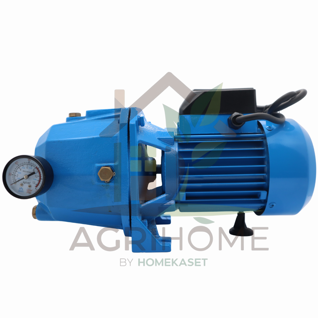 ปั๊มเจ็ทคู่ Radison 1 นิ้ว 1 แรงม้า