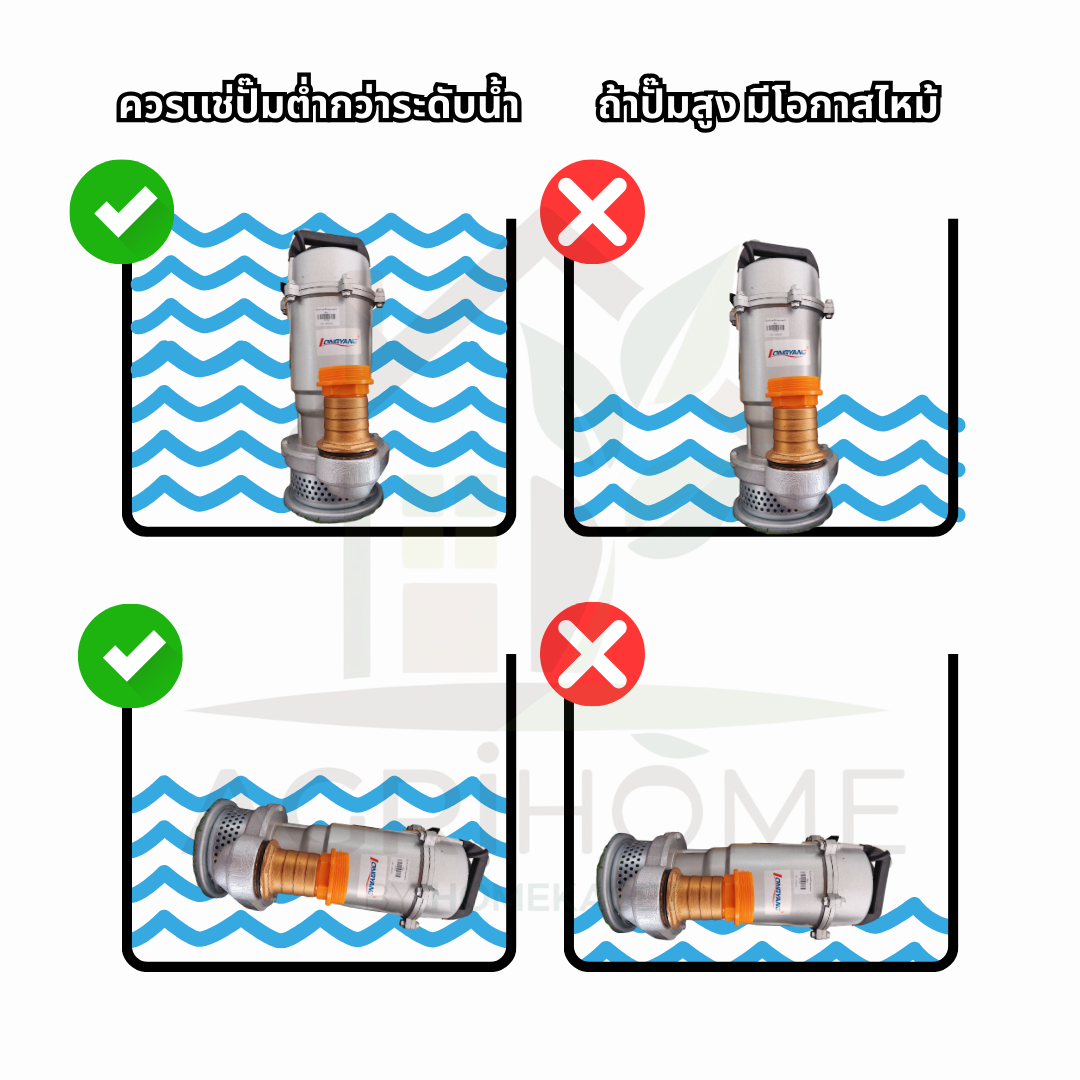 ปั๊มแช่ LongYang ลองยัง 2 นิ้ว