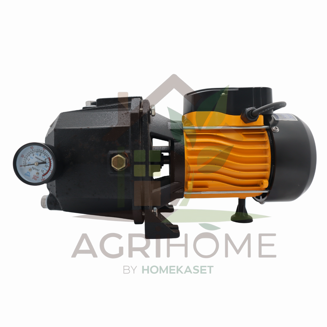 ปั๊มเจ็ทคู่ FPE JET255B 1 นิ้ว 1 แรงม้า