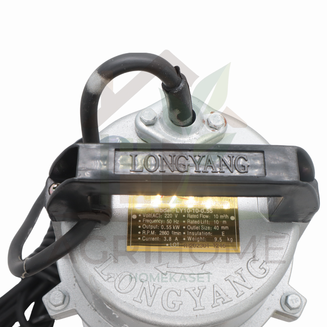 ปั๊มแช่ LongYang ลองยัง 1.5 นิ้ว