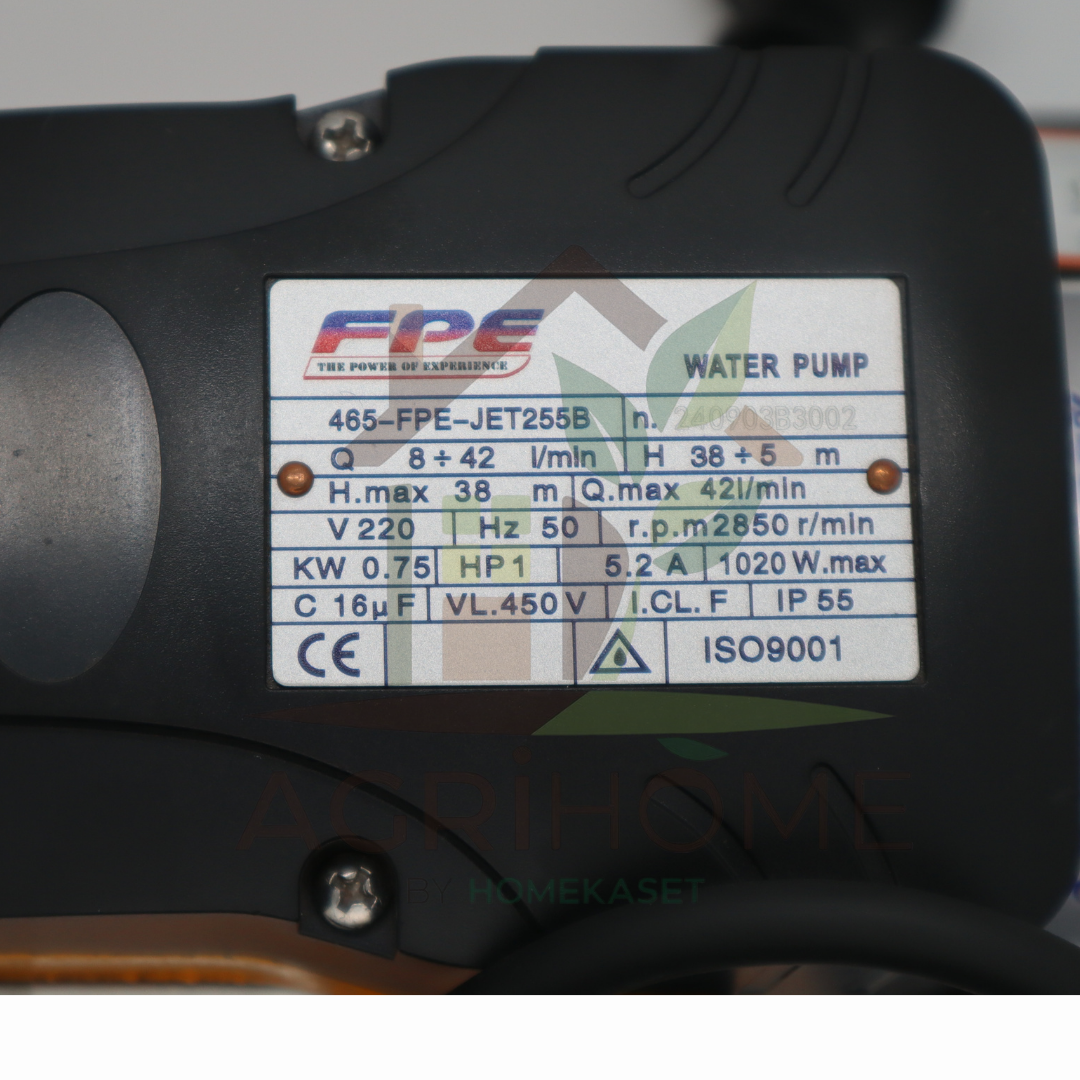 ปั๊มเจ็ทคู่ FPE JET255B 1 นิ้ว 1 แรงม้า