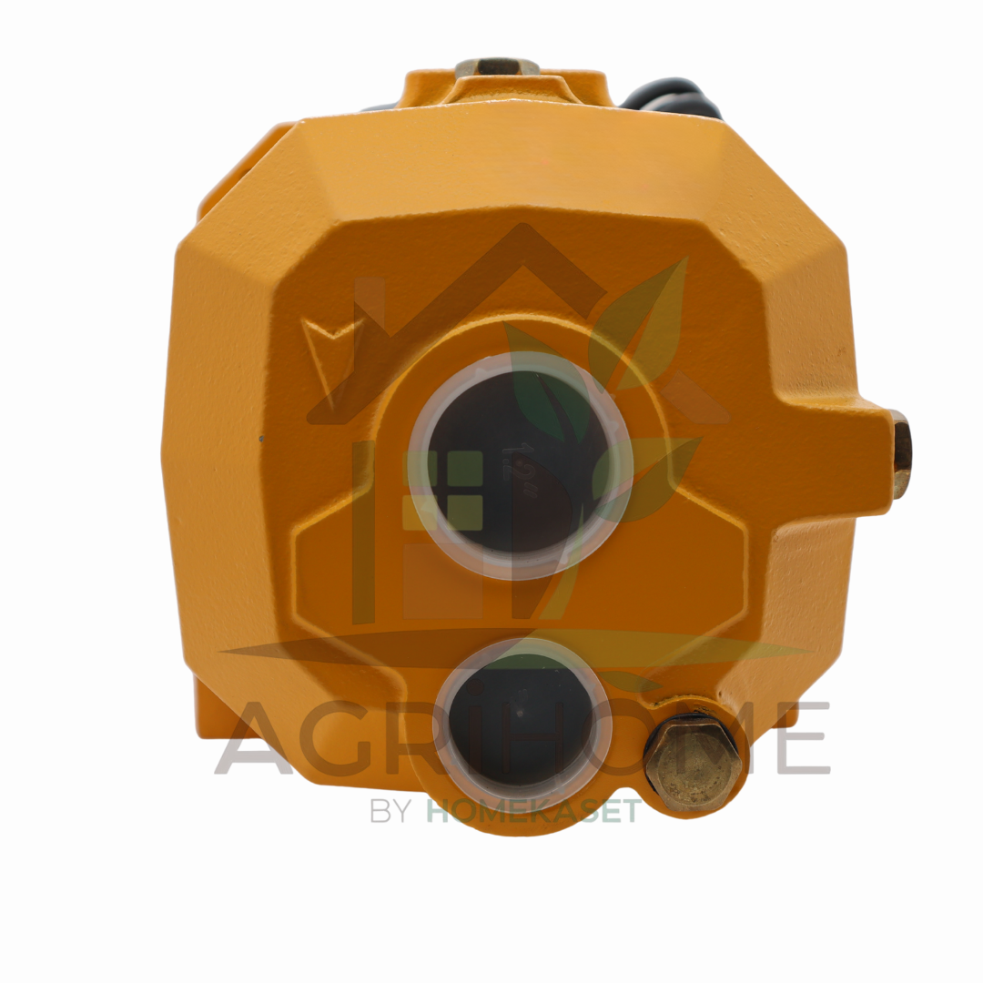 ปั๊มเจ็ทคู่ RIFLE RF100D 1 นิ้ว 1 แรงม้า