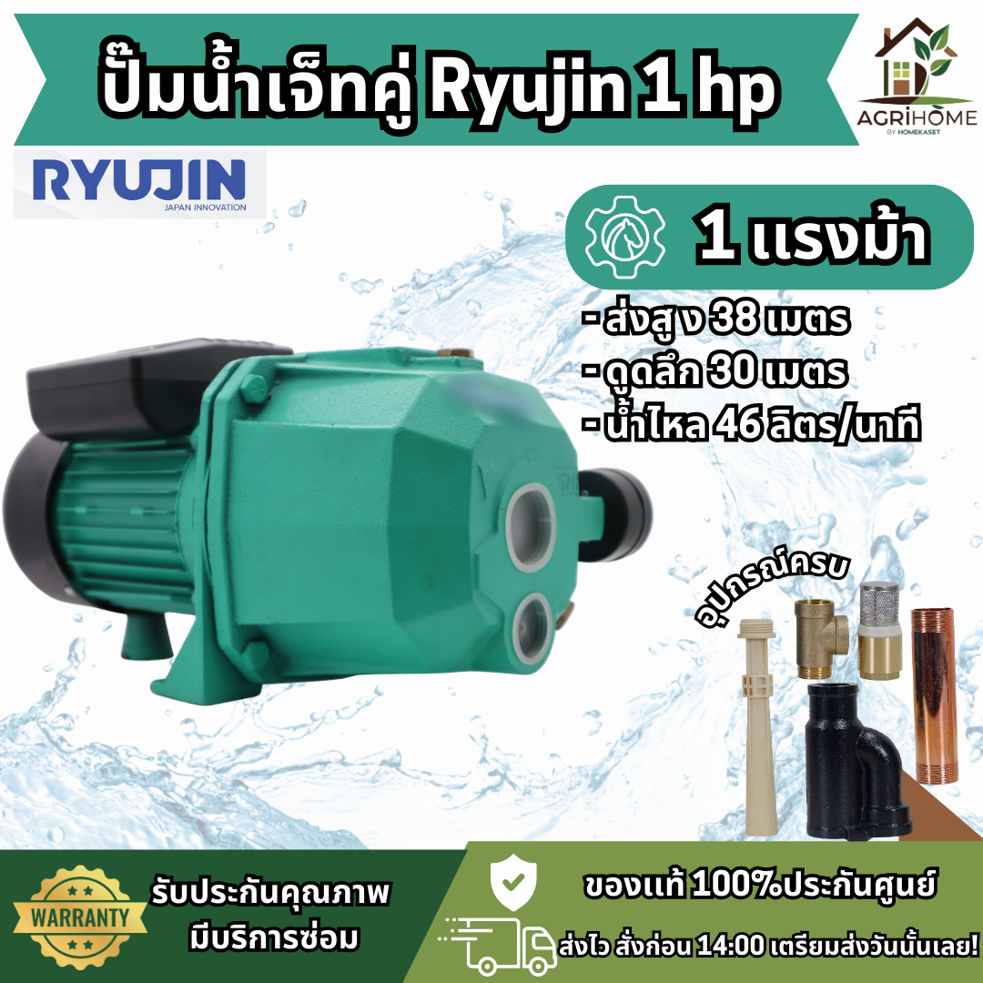 ปั๊มเจ็ทคู่ Ryujin RJ-750AT 1 นิ้ว 1 แรงม้า