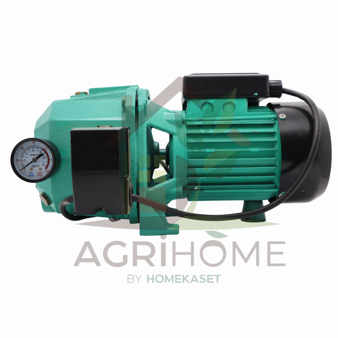 ปั๊มเจ็ทคู่ Ryujin RJ-750AT 1 นิ้ว 1 แรงม้า