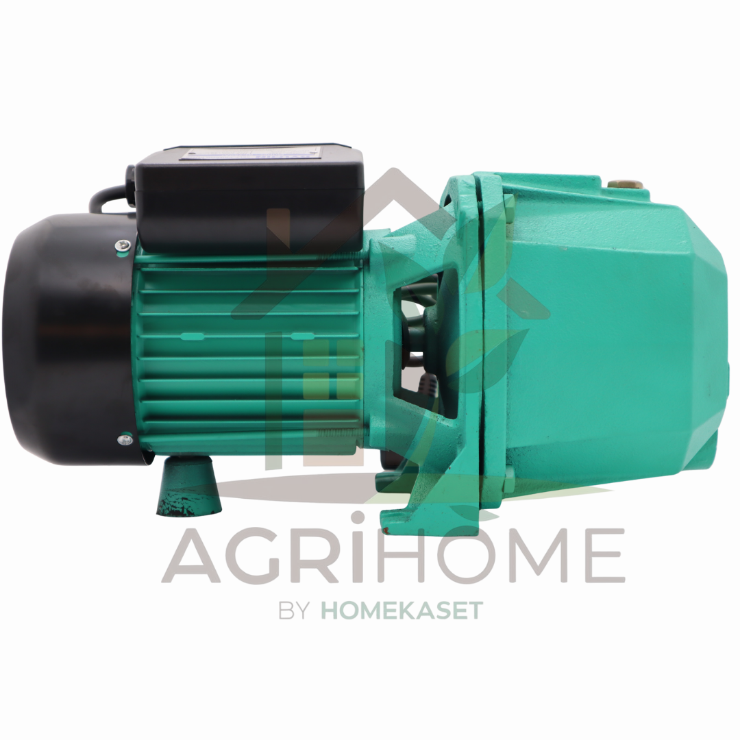 ปั๊มเจ็ทคู่ Ryujin RJ-750AT 1 นิ้ว 1 แรงม้า