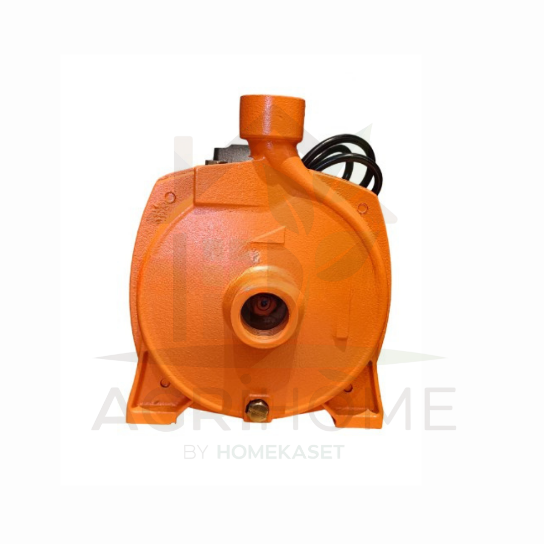 ปั๊มหอยโข่ง Tasani 1 นิ้ว 1 แรงม้า