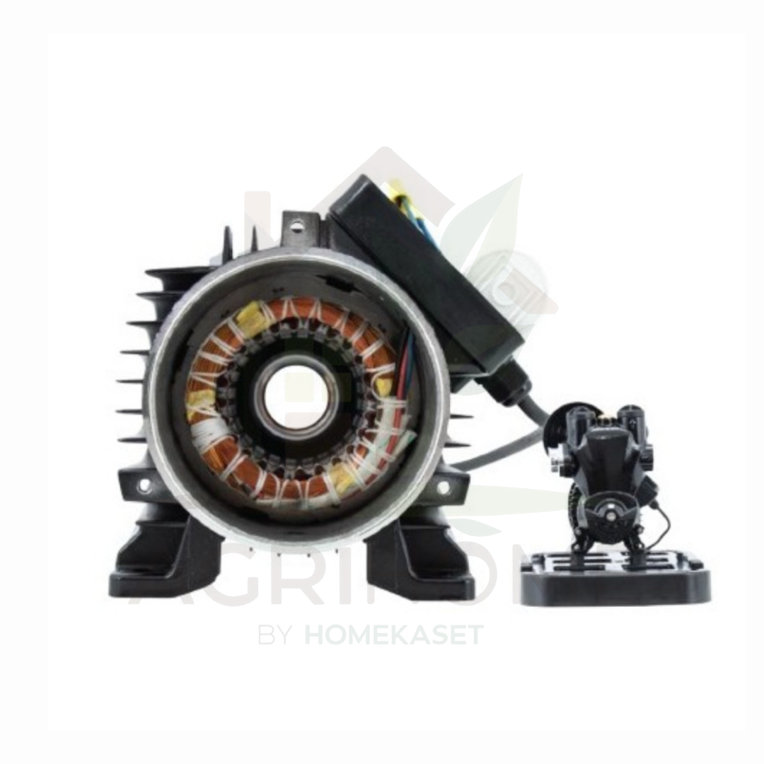 ปั๊มน้ำอัตโนมัติ Blackbull 1 นิ้ว รุ่น B-CB370A เเละ B-CB550A