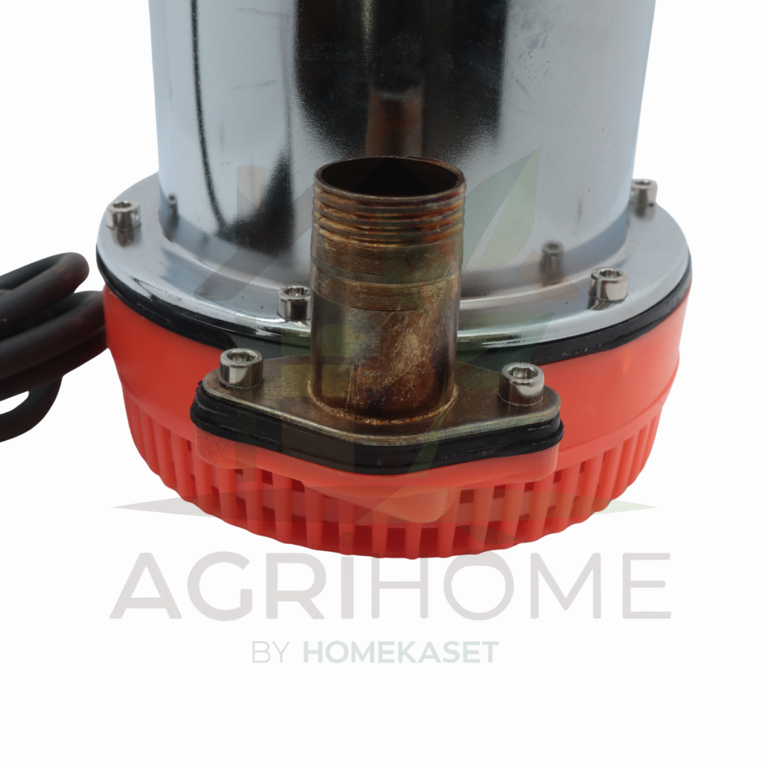 ปั๊มแช่ JiangXin ม้าบิน 1 นิ้ว