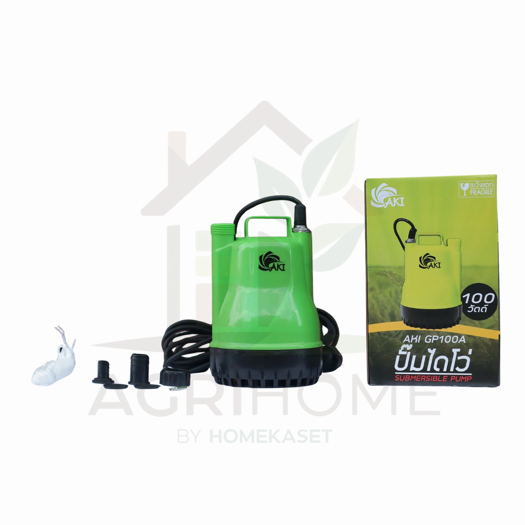 ปั๊มแช่ Aki 1 นิ้ว 100W