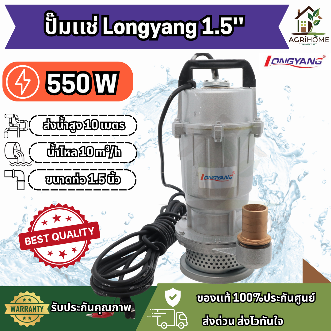 ปั๊มแช่ LongYang ลองยัง 1.5 นิ้ว