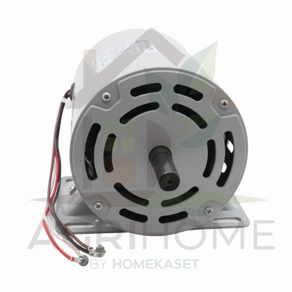 มอเตอร์ Radison 1/2 แรงม้า รุ่น RDS-1/2