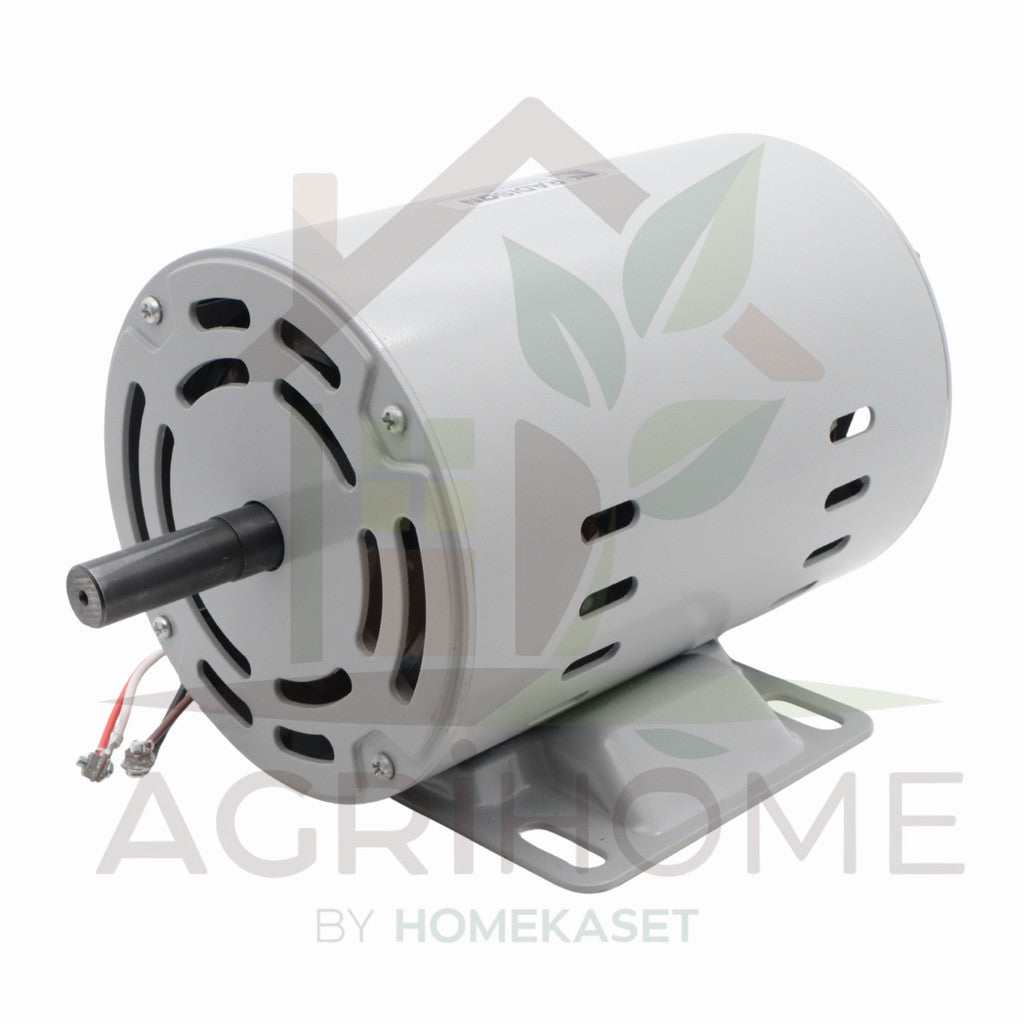 มอเตอร์ Radison 1/2 แรงม้า รุ่น RDS-1/2